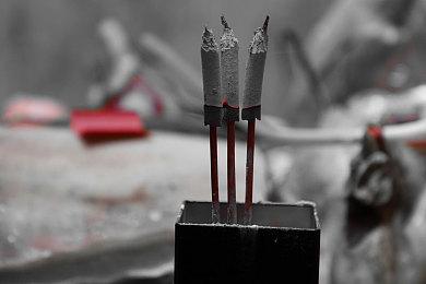 治愈系遛鸭子养成游戏《鸭鸭乐园》即将登陆Steam